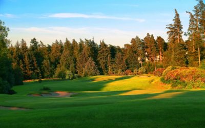 QHotels Rewards Forward Thinking with this 2017 Stay and Play Deal for Groups of 12 or More
