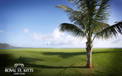 Rum Punch and Birdies at Royal St. Kitts Golf Club