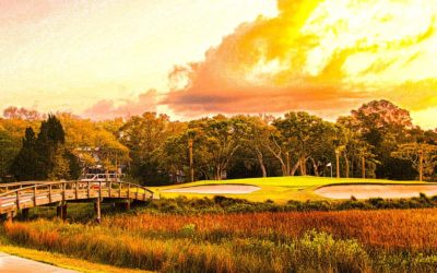 Seabrook Island, South Carolina; Take a Bow