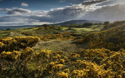 The European Club: Is it The Best Golf Club in Ireland?