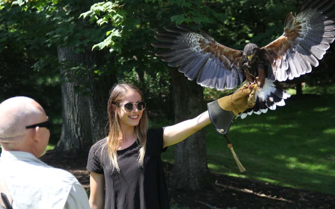 The Greenbrier: Falconry with Phil Mickelson