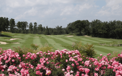 Golf Has Great Smells