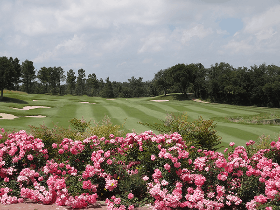 Golf Has Great Smells