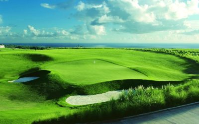 Best Golf Courses in Barbados: A Complete List