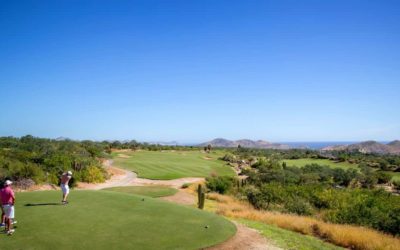 Cabo: Well Done Mr. Weiskopf, Well Done
