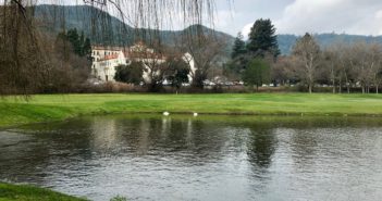 Mingle With Geese and Stroll In the Shadows of the Sequoyahs at Vintner’s Golf Club In Napa Valley