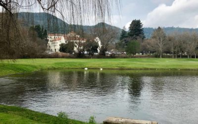 Mingle With Geese and Stroll In the Shadows of the Sequoyahs at Vintner’s Golf Club In Napa Valley