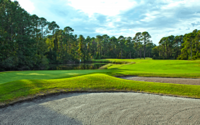 South Carolina’s Lowcountry Is Cozy Like a Good Plate of Shrimp and Grits