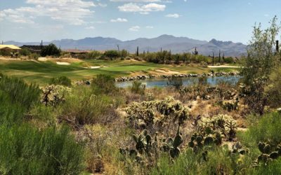 The Gallery Golf Club at Tucson: Everything You Should Know