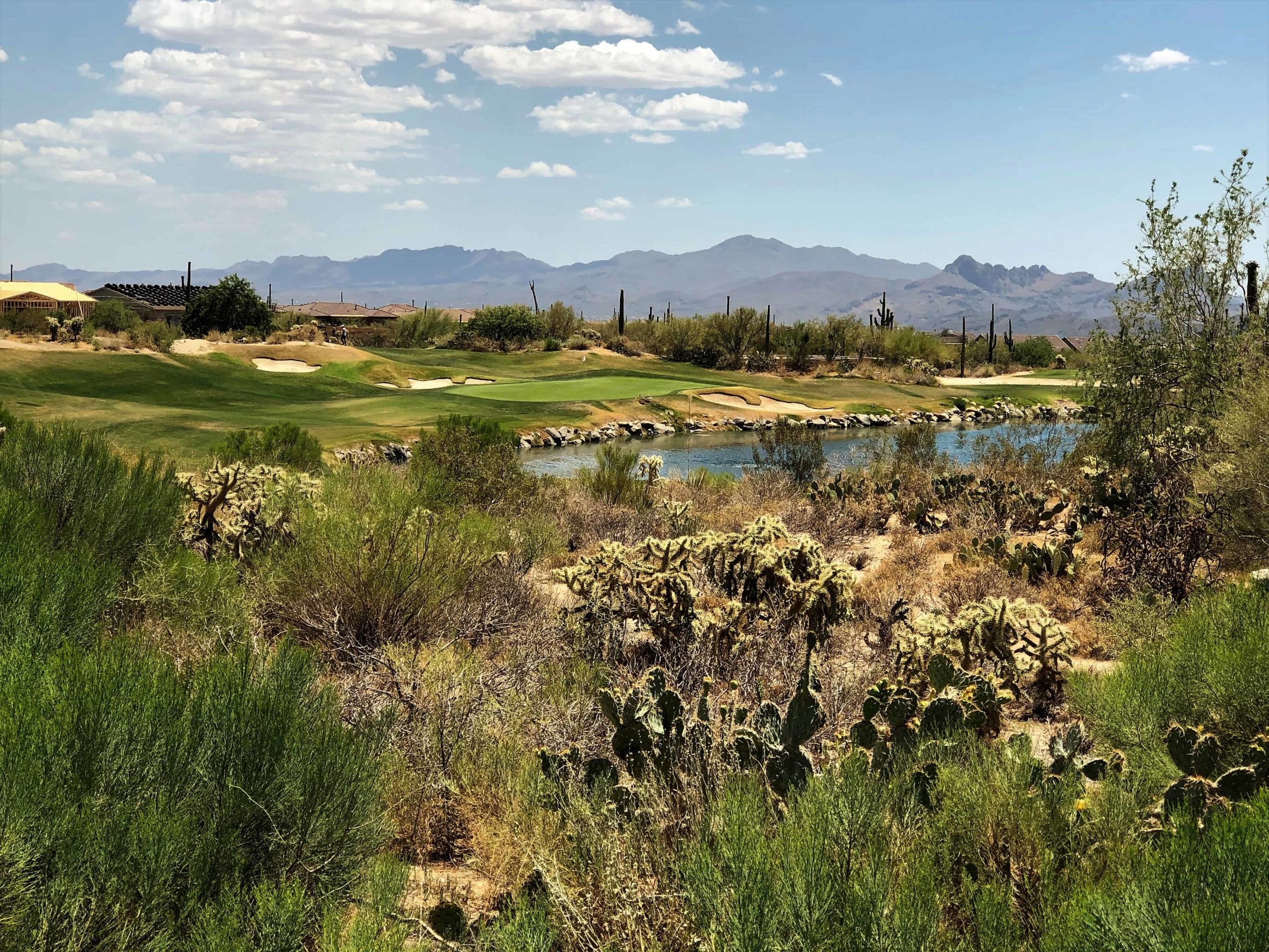 The Gallery Golf Club at Tucson Everything You Should Know