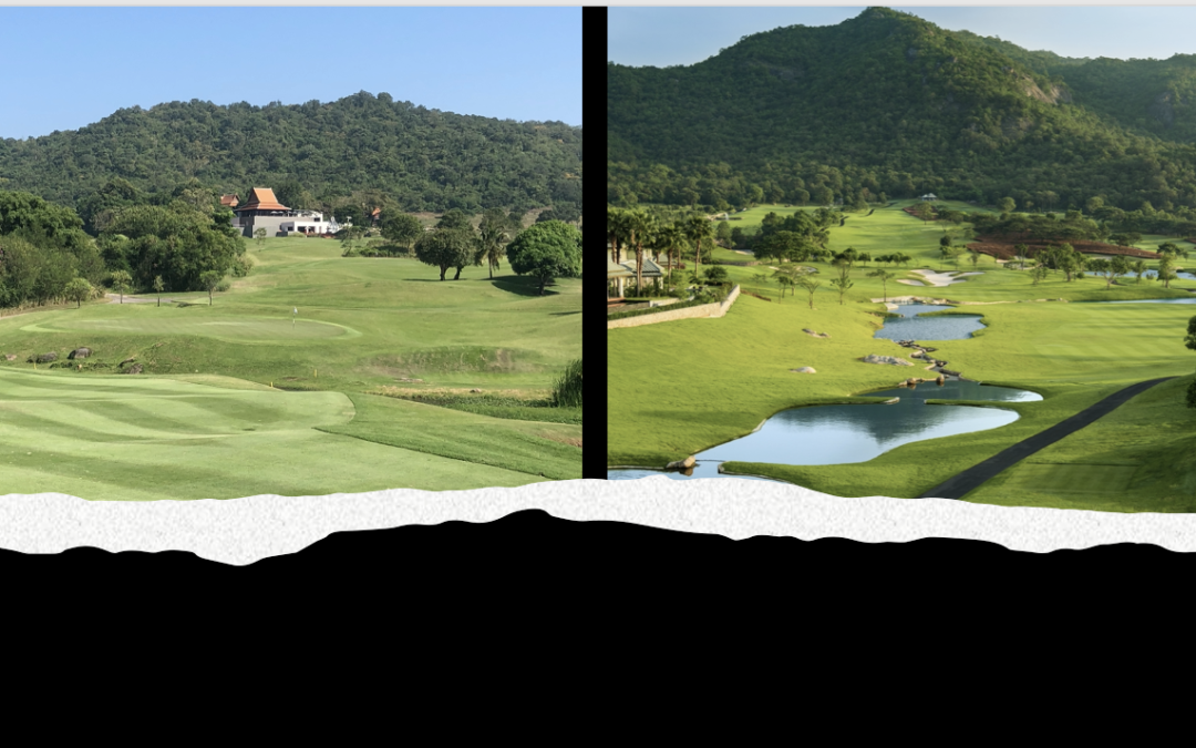 Torn Between Two Lovers – Banyan or Black Mountain?